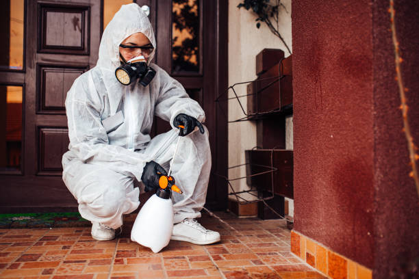 Reliable Cockroach Control contractor in Eden, TX by Nex Pest Control