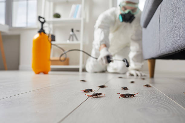 Affordable Cockroach Control solutions in Eden, TX